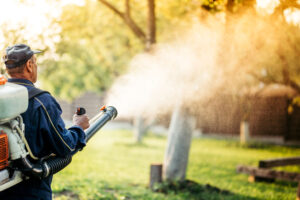 Agricultural details with farmer using sprayer machine for pesticide control in fruit orchard during sunset time