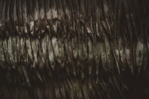 Photo frizuri masculine