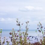 Cum să-ți păstrezi calmul în situații tensionate