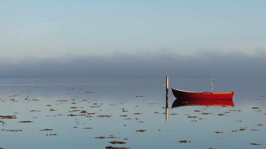 calmness