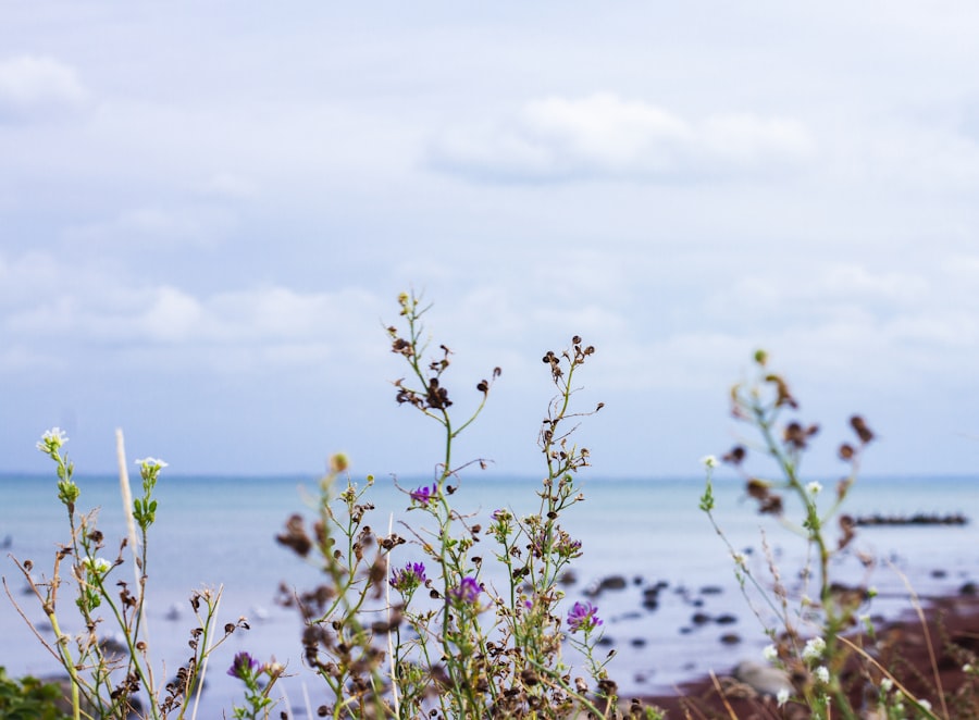 calmness