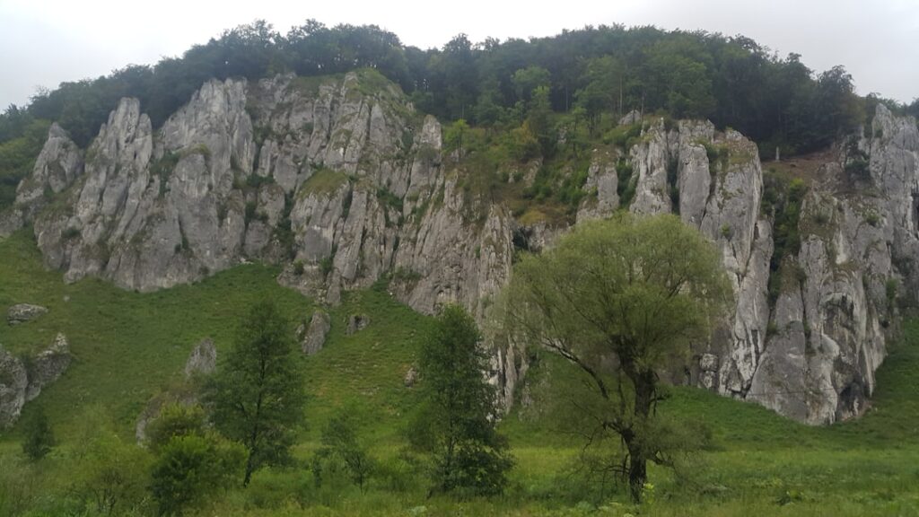 Photo slab că bărbat