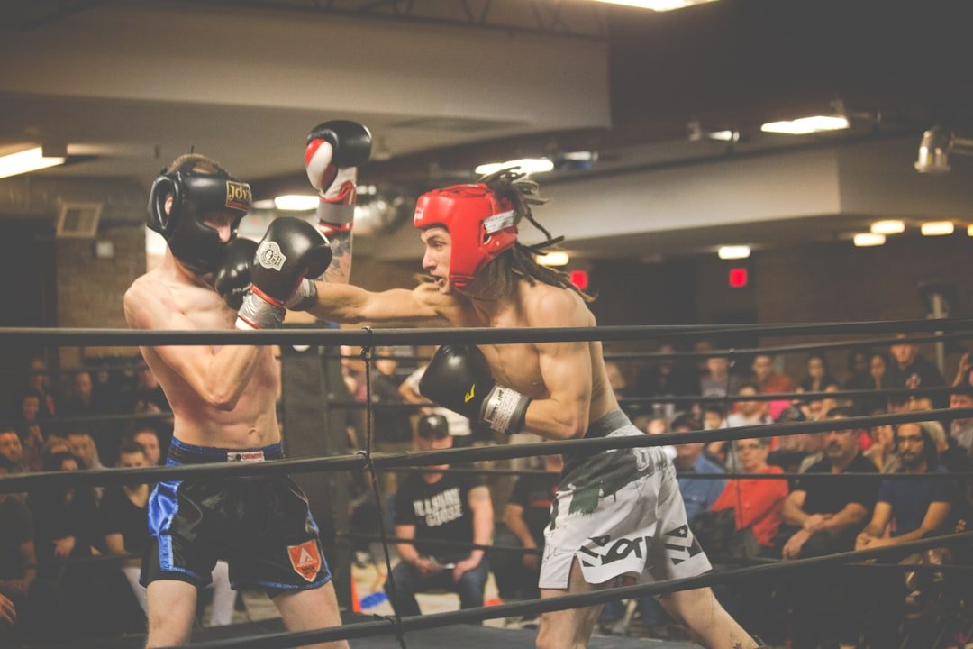 Photo arena fights
