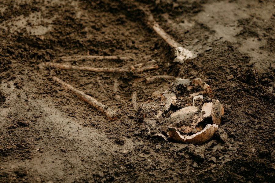 Photo archaeology