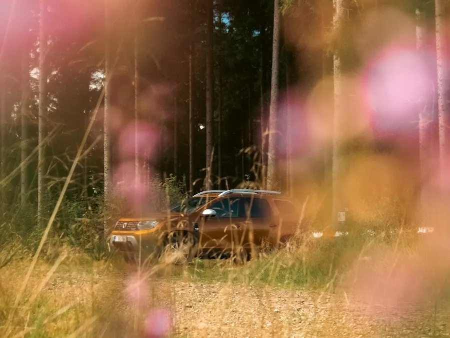 Photo common mistakes Romanian Dacia car
